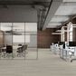 Emser Prodigy Cruz 12" x 24" Polished Porcelain Tile, , large
