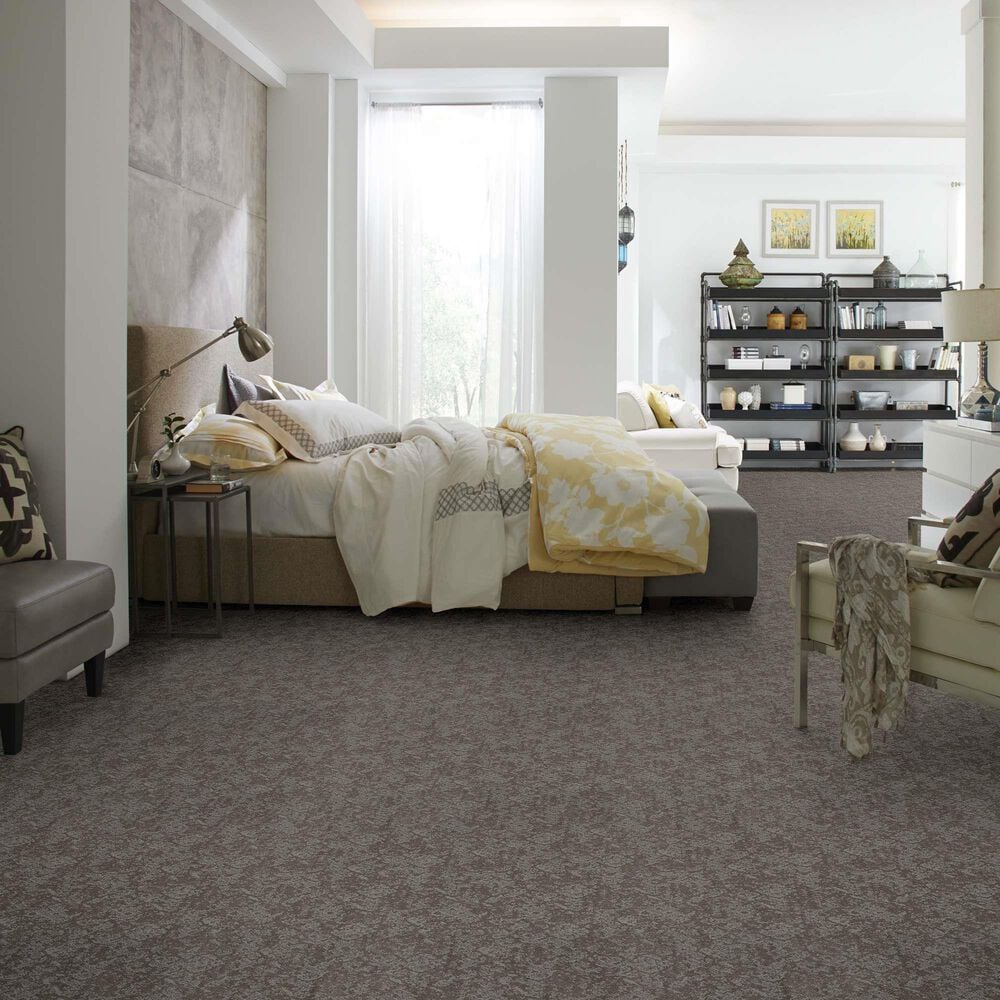 Anderson Tuftex Caress Free Spirit Carpet in Grounded Gray, , large