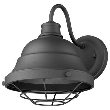 Golden Lighting Bartlett Outdoor Wall Sconce in Natural Black, , large
