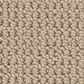 Anderson Tuftex Arden Park Carpet in Marzipan, , large