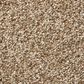 Shaw Tonal Comfort I Carpet in Falling Leaves, , large