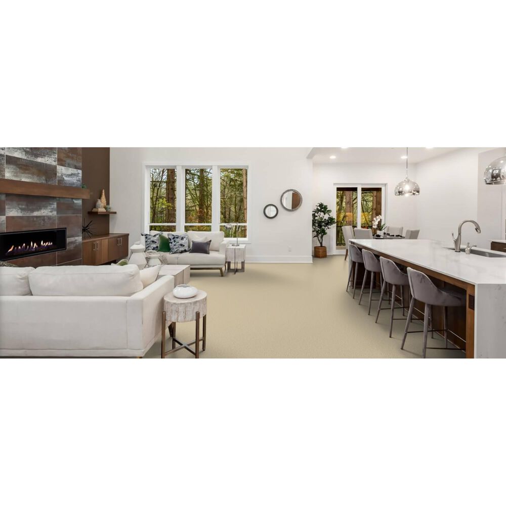 Masland Miami Carpet in Muskoka, , large