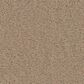 Anderson Tuftex Finery Carpet in Desert Dune, , large
