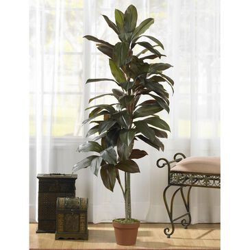 Nearly Natural Inc 5" Cordyline Silk Plant (Real Touch), , large