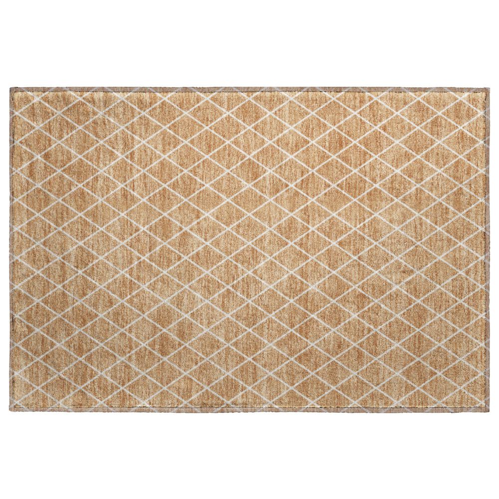 Dalyn Rug Company The Reserve TR15 Copper 1"8" x 2"6" Indoor/Outdoor Area Rug, , large