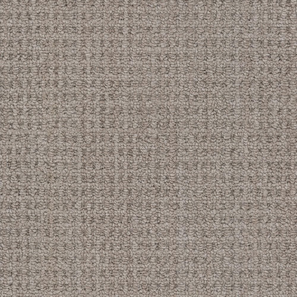Masland Take It Easy Carpet in Arches, , large