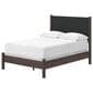 Ashley Pamytta Full Upholstered Panel Bed in Rich Brown, , large