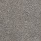 Shaw Barracan Classic III Carpet in Barnboard, , large