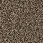 Anderson Tuftex Somerset Carpet in Smokehouse, , large