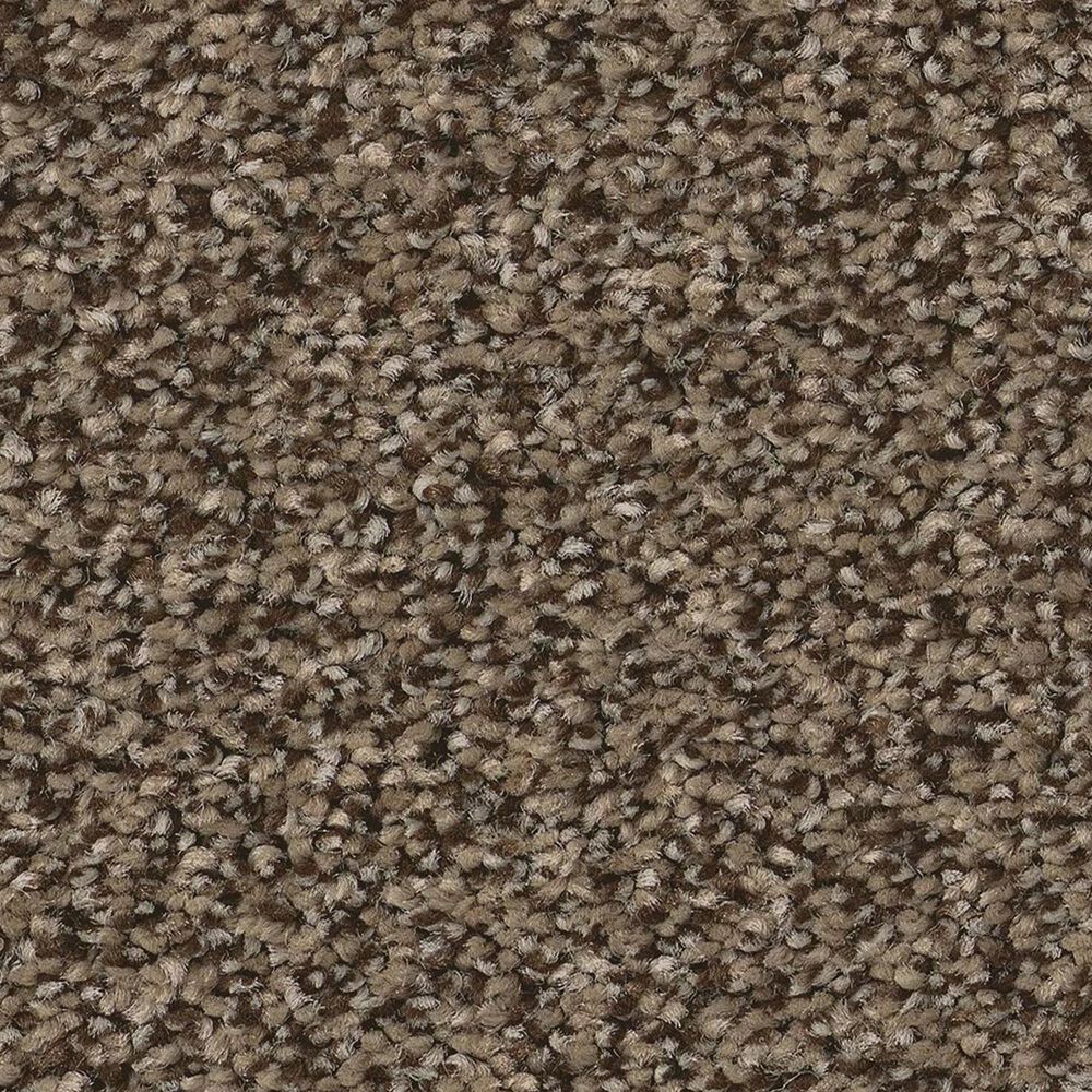 Anderson Tuftex Somerset Carpet in Smokehouse, , large