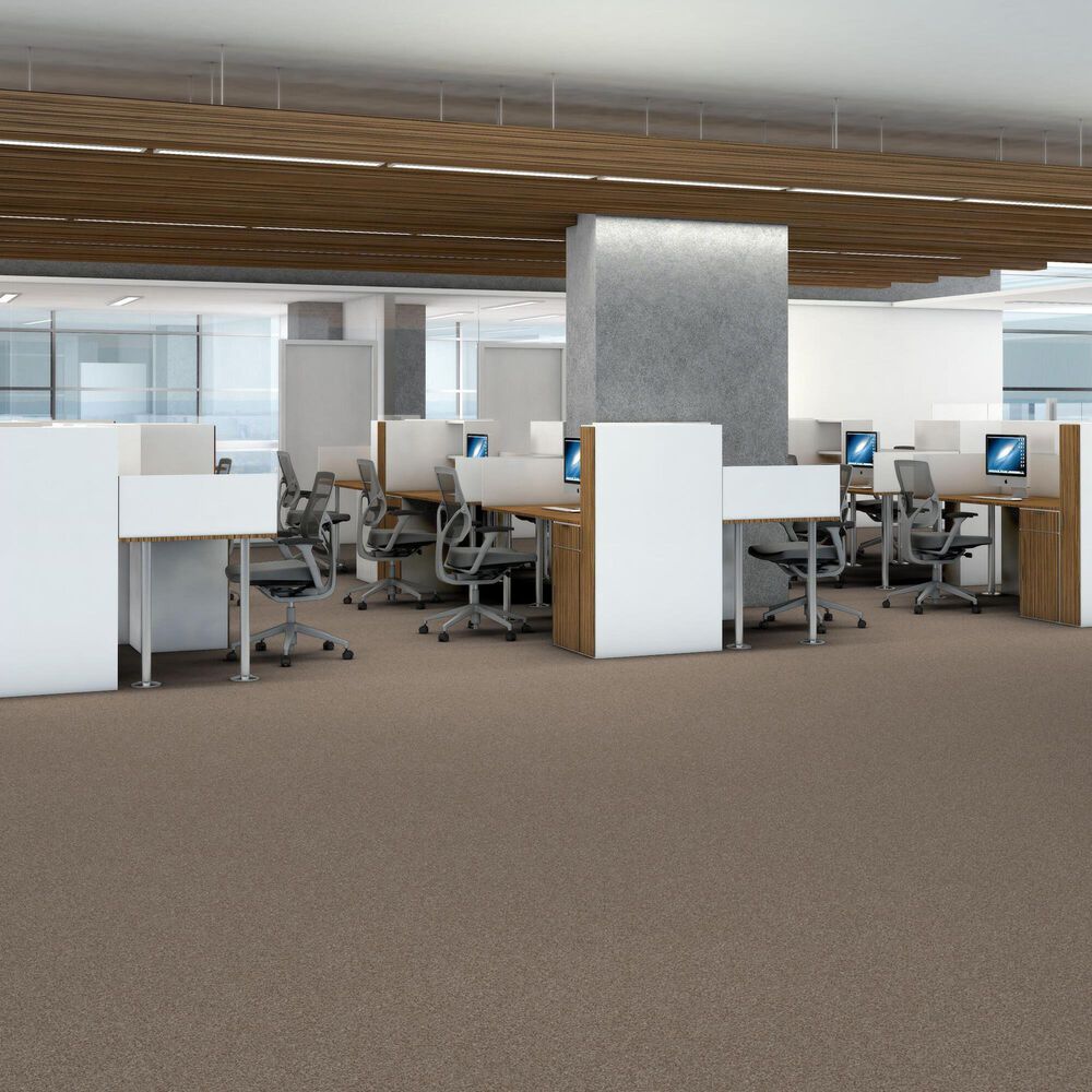 Shaw Yes You Can III Carpet in Subtle Clay, , large