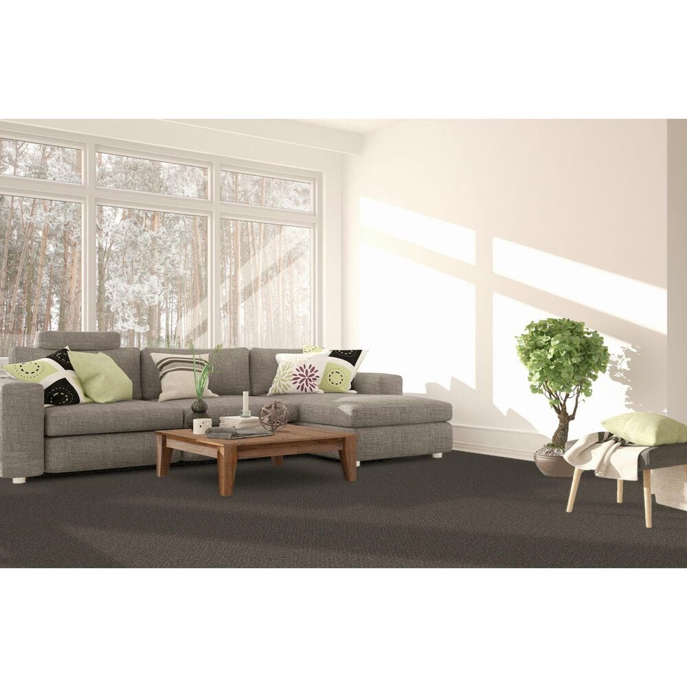 Dream Weaver Royale II Carpet in Rugby, , large