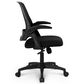 HOMLUX Swivel Ergonomic Office Chair with Flip Up Arms in Black, , large