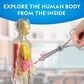 National Geographic Glow-In-The-Dark Human Body Interactive Anatomy Toys, , large