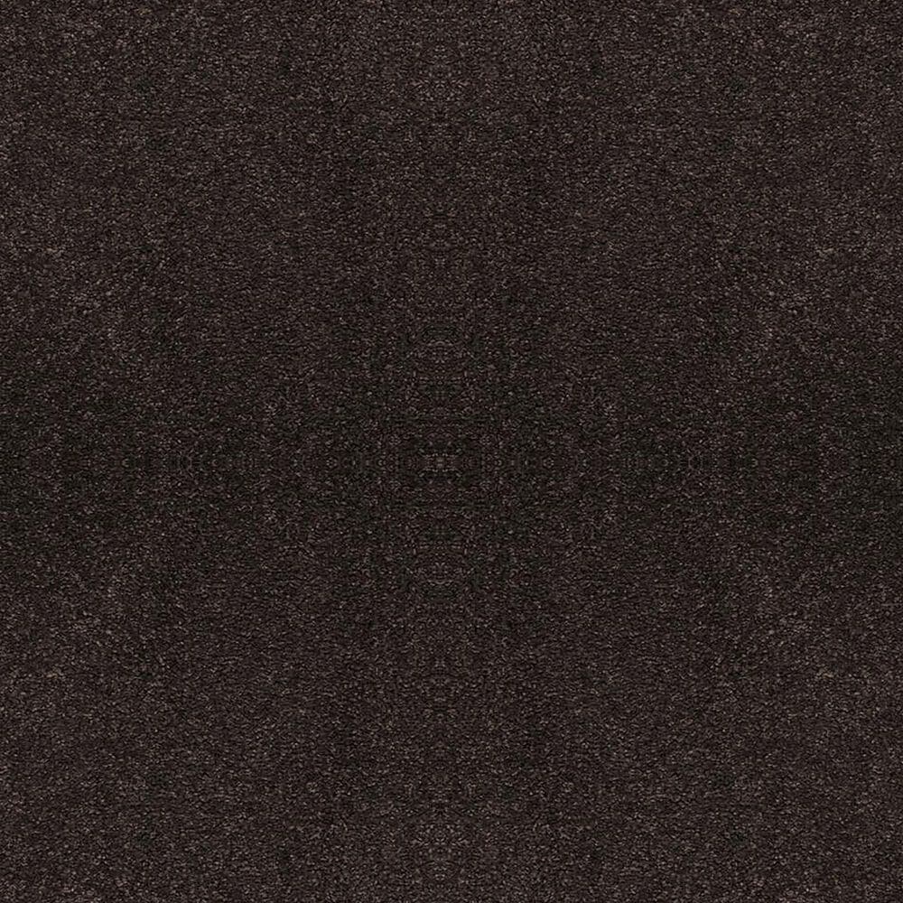 Masland Indulgence Carpet in Black Olive, , large