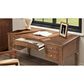 Jennifer Taylor Home Dauphin 59" 5-Drawer Executive Desk in Brown, , large