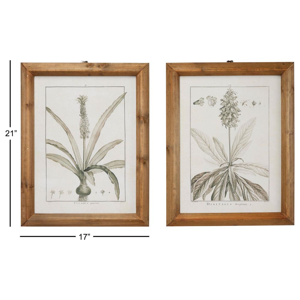 Maple and Jade 22&quot; x 17&quot; Leaves Framed Wall Art in Distressed Brown &#40;Set of 2&#41;, , large