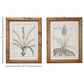 Maple and Jade 22" x 17" Leaves Framed Wall Art in Distressed Brown (Set of 2), , large