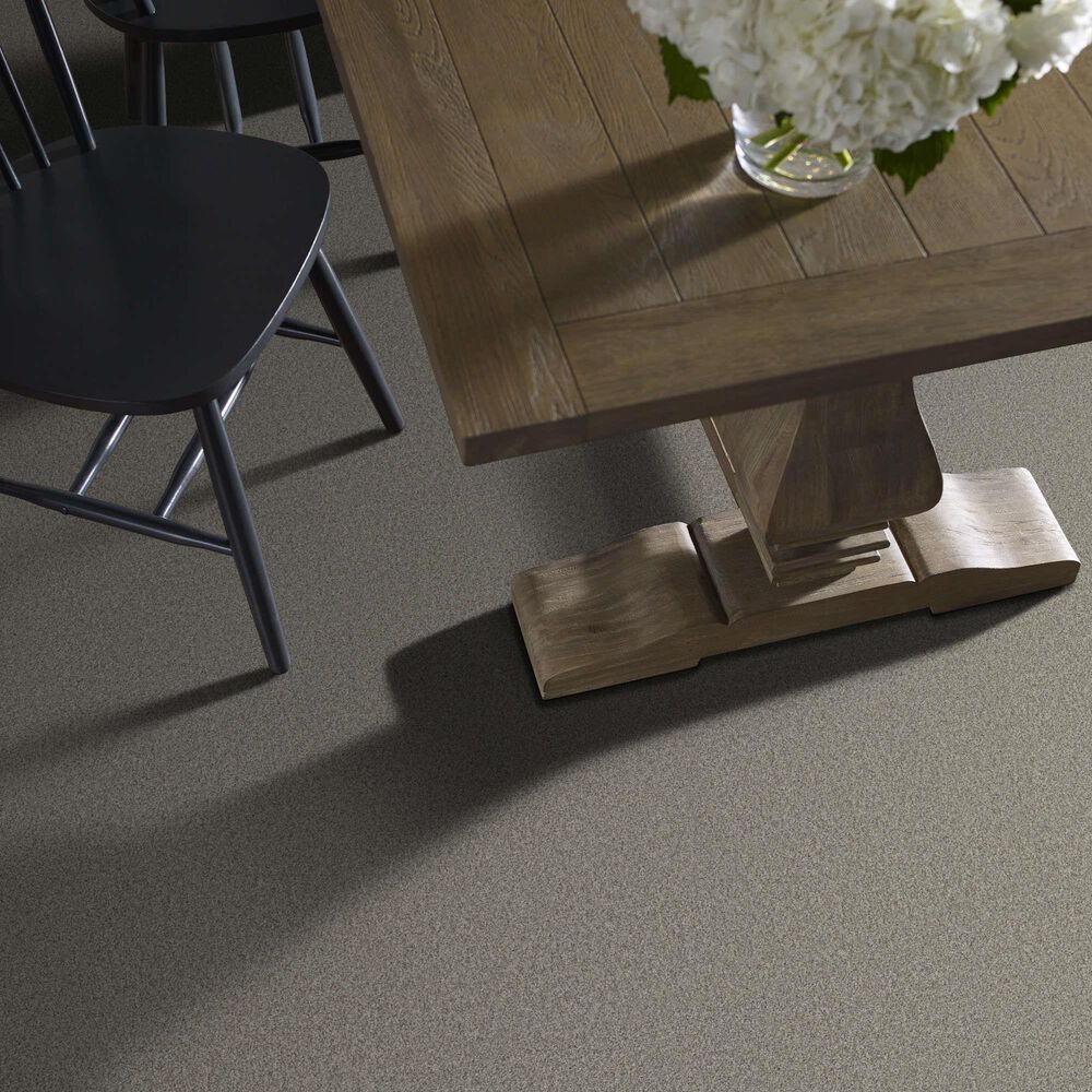 Shaw Tonal Comfort II Carpet in Back Patio, , large
