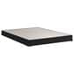 Sealy Brenham Medium Pillowtop Queen Mattress with Low Profile Box Spring, , large