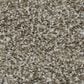 Dream Weaver Cosmopolitan Texture Carpet in Wynwood, , large