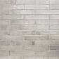 MS International Stella Rhino 2" x 10" Ceramic Tile, , large