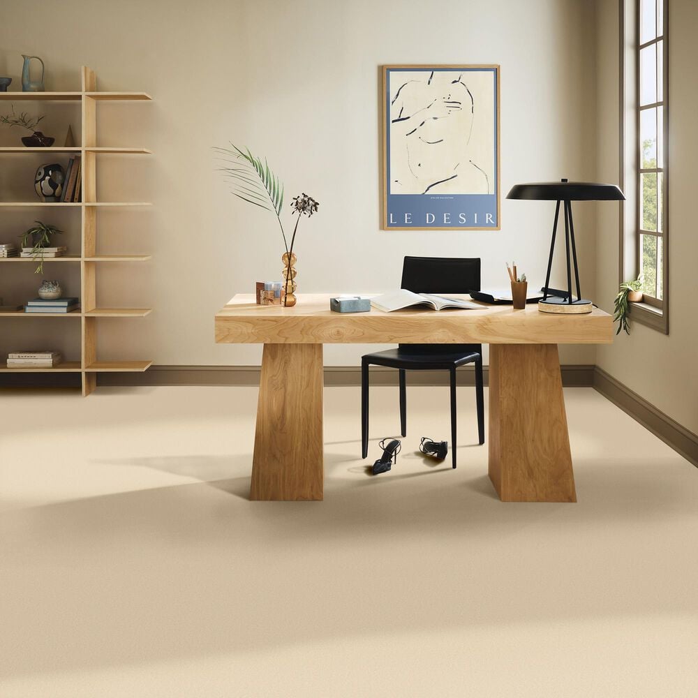 Anderson Tuftex Finery Carpet in Goose, , large