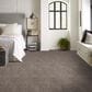 Anderson Tuftex Insightful Journey Carpet in Stucco, , large