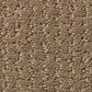 Shaw Warm Memories Carpet in Camping Trip, , large