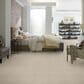 Shaw Sensible Now Carpet in Studio Taupe, , large