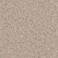 Dixie Home Devotion Carpet in Sandstorm, , large