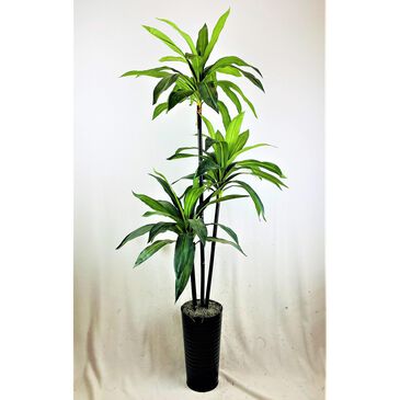 LCG Sales 6" Dracaena with Metal Pot in Green, , large