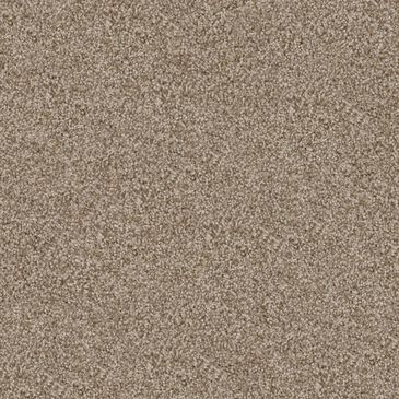 Dixie Home Guard Carpet in Spaniel, , large