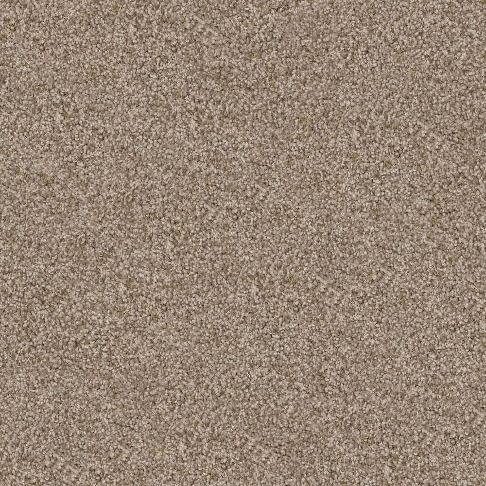 Dixie Home Guard Carpet in Spaniel, , large