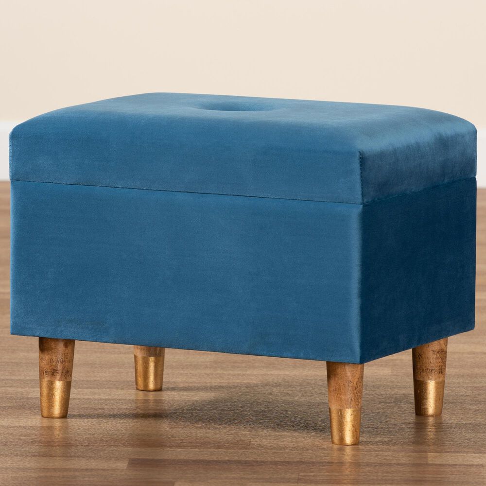 Baxton Studio Elias Storage Ottoman in Sky Blue, , large