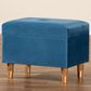 Baxton Studio Elias Storage Ottoman in Sky Blue, , large