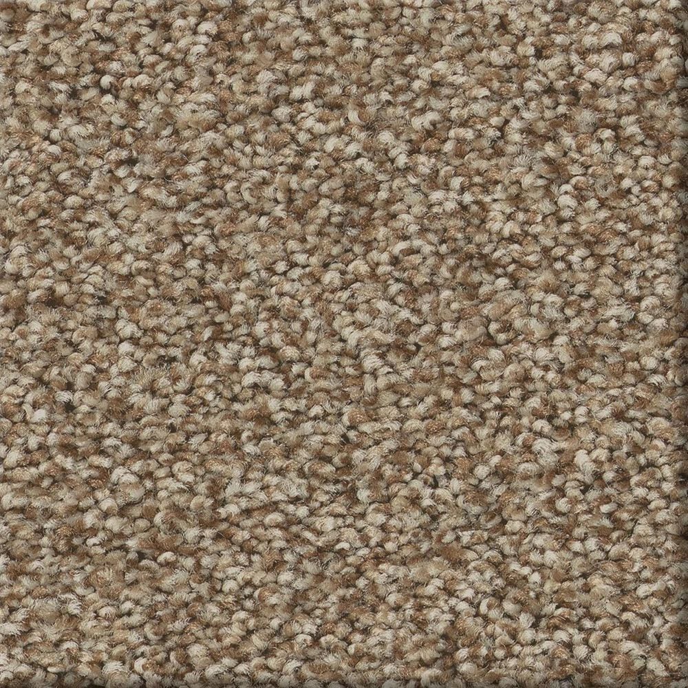 Shaw Comforting II Carpet in Studio, , large