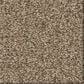 Shaw Comforting II Carpet in Studio, , large