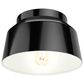 Hunter Cranbrook 1-Light Flush Mount in Matte Black, , large