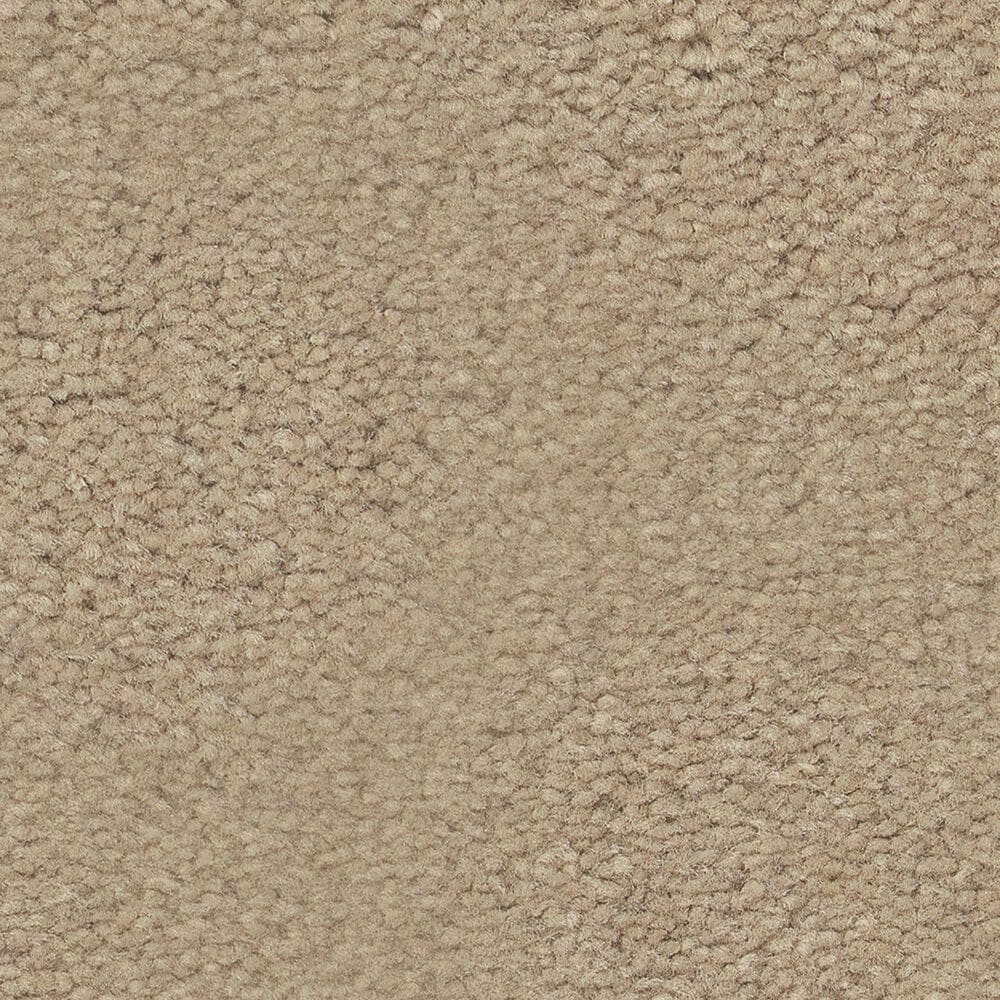 Anderson Tuftex Finery Carpet in Toasted Almond, , large