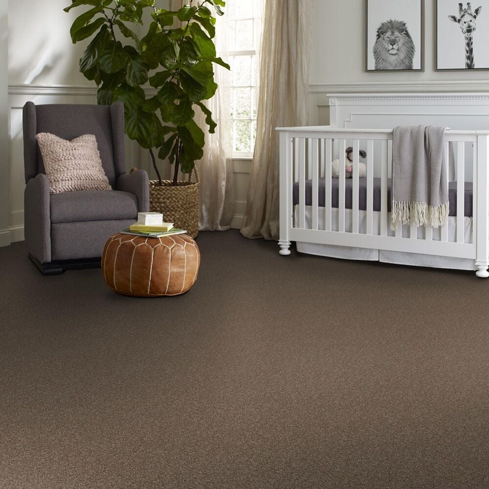 Shaw Yes You Can II Carpet in Worn Path, , large