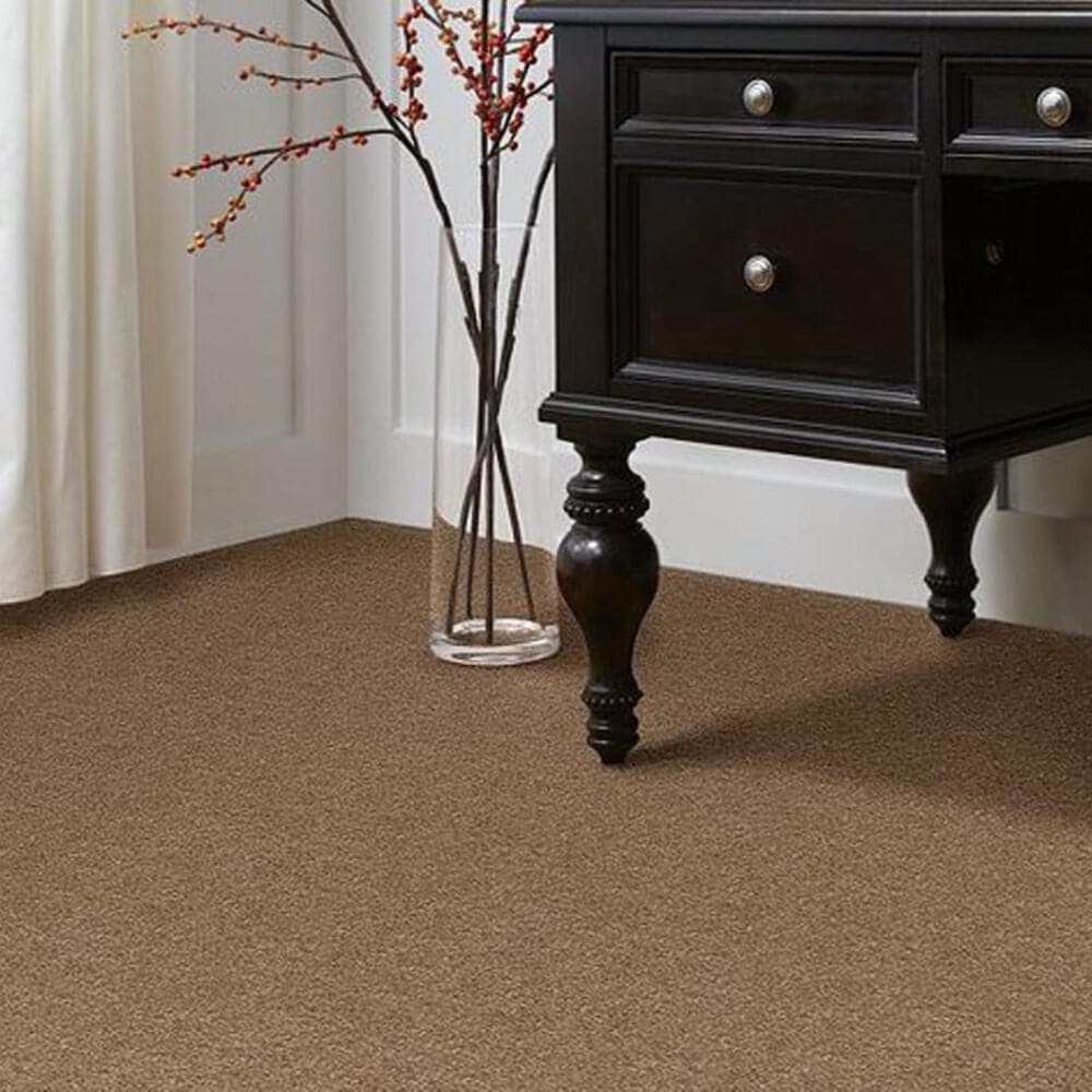 Anderson Tuftex Star Power Carpet in Hazelnut, , large
