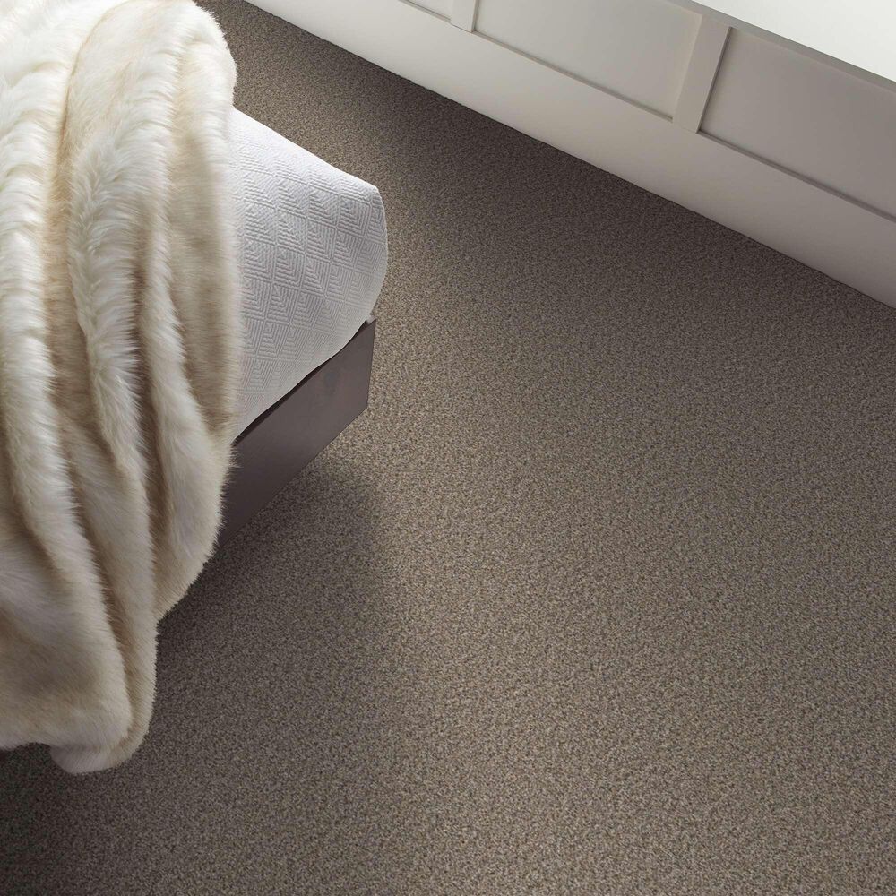 Shaw Always Right II Carpet in Goose Feather, , large