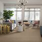 Anderson Tuftex Wanderer Carpet in Straw, , large