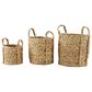 Maple and Jade Dried Coastal Storage Basket in Brown (Set of 3), , large