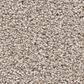Shaw Grand Influence II Carpet in Pebble, , large