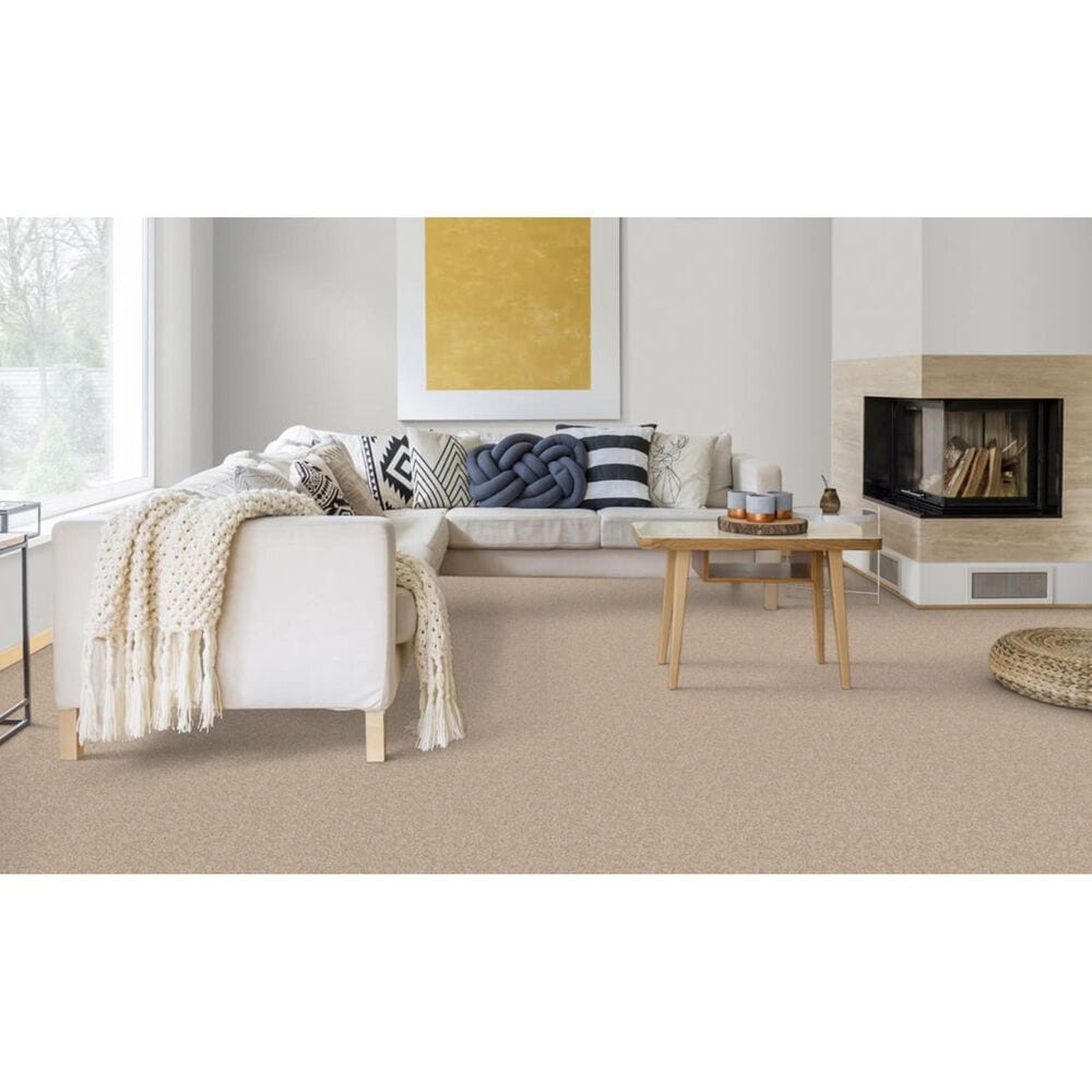 Dixie Home Bella Carpet in Fetch, , large