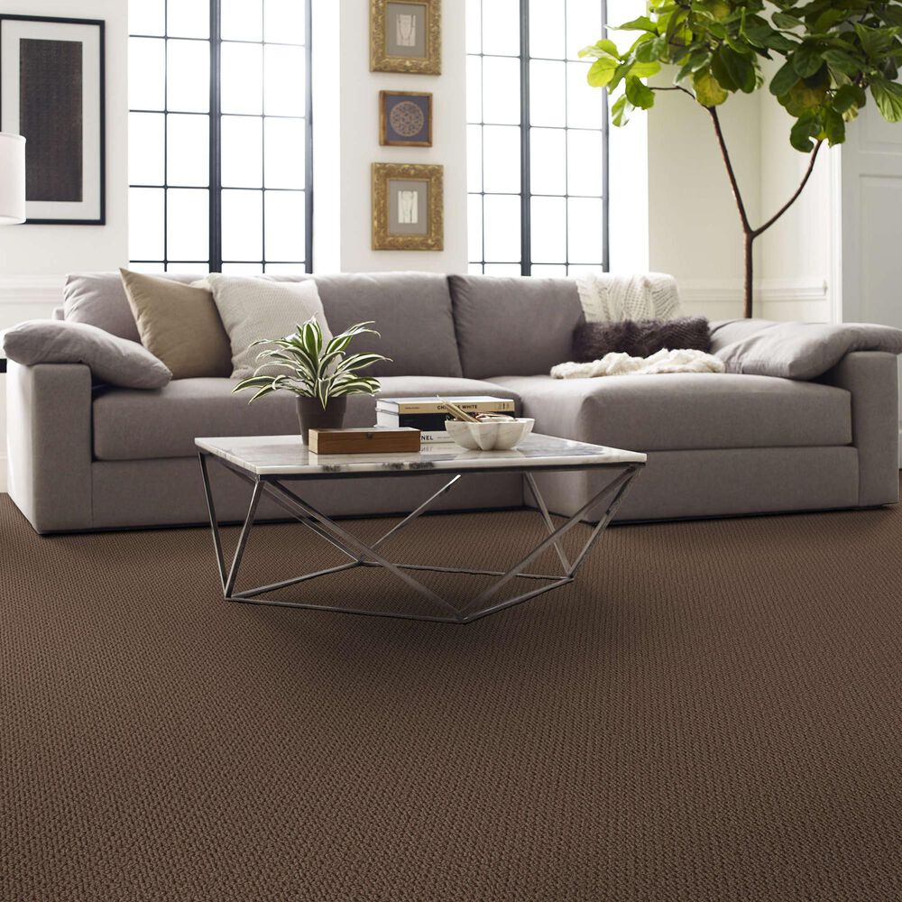 Shaw Perspective Path Carpet in Grounded, , large
