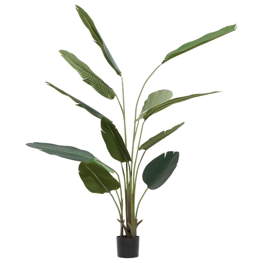 Maple and Jade 70&quot; Artificial Strelitziaceae Tree in Green, , large
