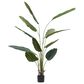 Maple and Jade 70" Artificial Strelitziaceae Tree in Green, , large